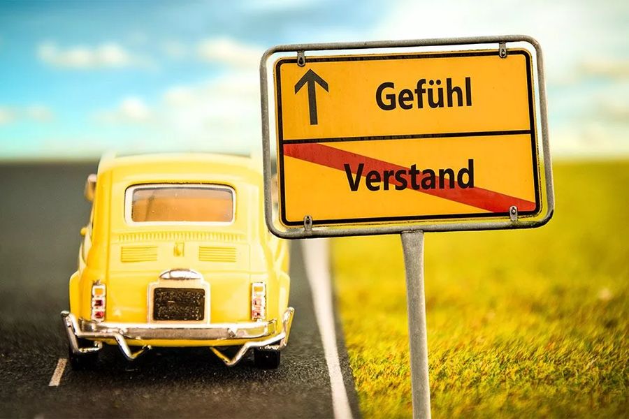 Gefühl oder Verstand
